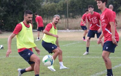 Programma settimanale degli allenamenti
