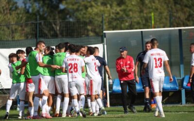 Vittoria esterna del Piacenza con il Rovato Vertovese
