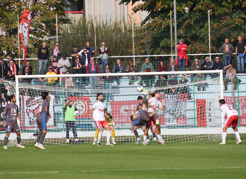 Pro Palazzolo - Piacenza Piacenza - Triestina